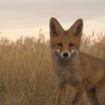 Ruszyła nasza strona internetowa!
